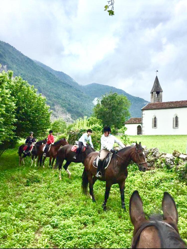 Agriturismo Randis Piano dʼArta Exterior foto